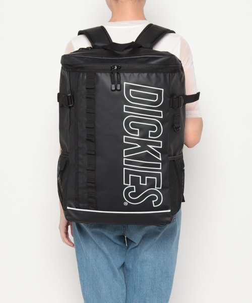 Dickies(Dickies)/Dickies OL LOGO BOX BACKPACK/img10