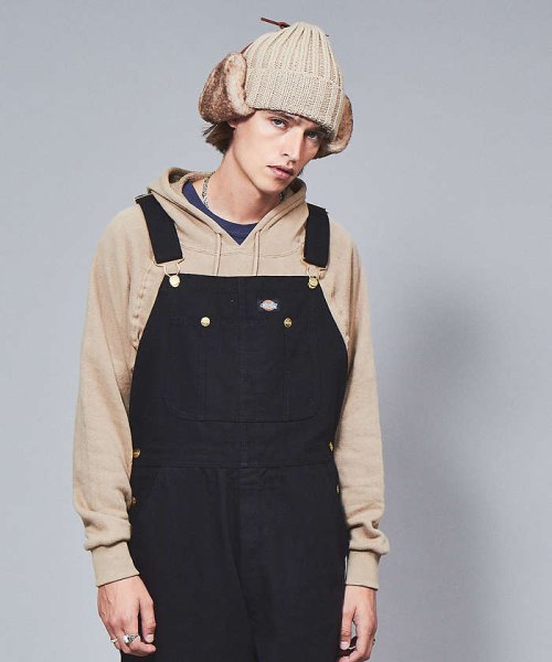 ABAHOUSE(ABAHOUSE)/【Dickies/ディッキーズ】    OVERALL オーバーオール/img06