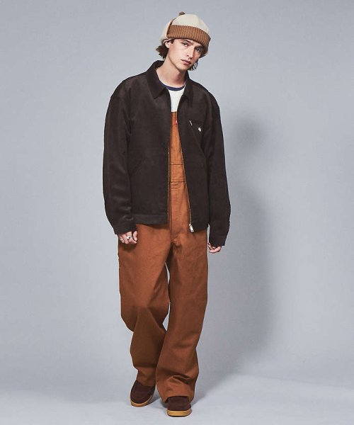 ABAHOUSE(ABAHOUSE)/【Dickies/ディッキーズ】    OVERALL オーバーオール/img08
