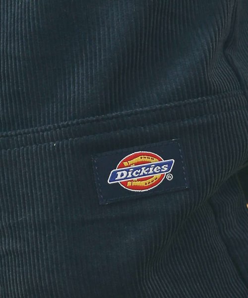 ABAHOUSE(ABAHOUSE)/【Dickies/ディッキーズ】CR DBLEKNEE WORK/img16