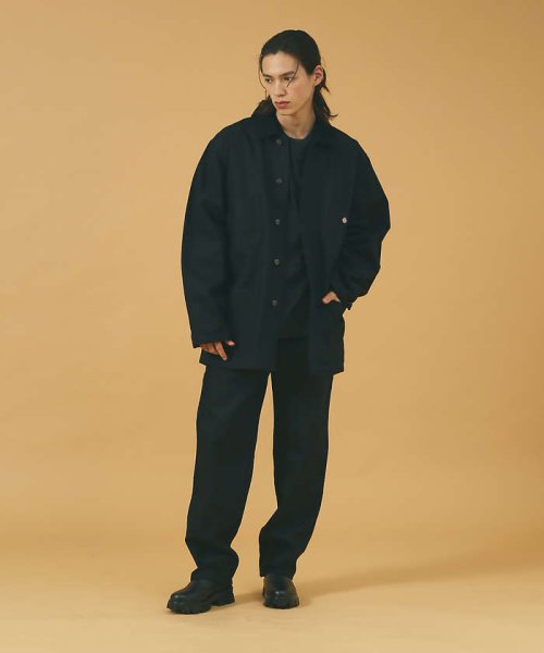 ABAHOUSE(ABAHOUSE)/【Dickies/ディッキーズ】DUCK CARPENTER JEANS PAN/img01