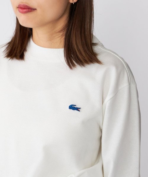 SHIPS MEN(シップス　メン)/【SHIPS別注】LACOSTE: ヘビー ピケ バスクシャツ/img19