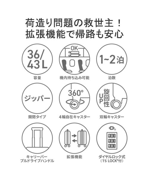 ACE DESIGNED BY ACE(エースデザインバイエース)/エース デザインド バイ エース イン ジャパン スーツケース ACE DESIGNED BY ACE IN JAPAN オーバル 36L 43L 06421/img05