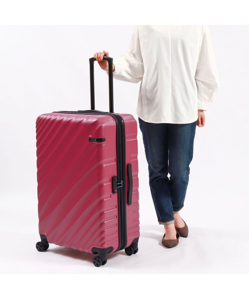 ACE DESIGNED BY ACE IN JAPAN スーツケース エース デザインド バイ エース イン ジャパン ace. 大容量 06423 ACE エース