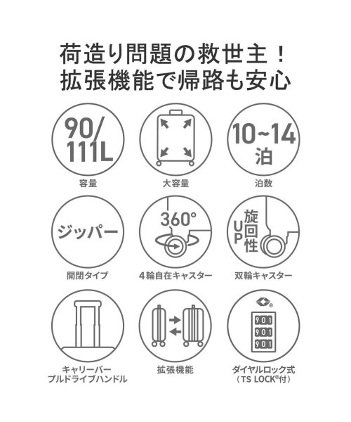 ACE DESIGNED BY ACE IN JAPAN スーツケース エース デザインド バイ エース イン ジャパン ace. 大容量 06423 ACE エース