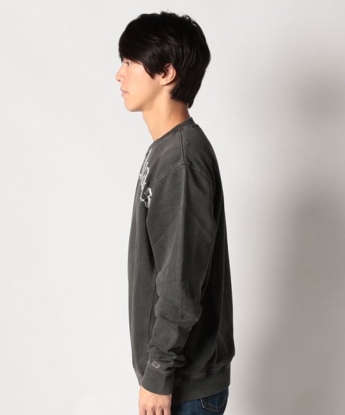 TOMMY JEANS(トミージーンズ)/TJMリラックスグランジアーチクルーネックプルオーバー/img01