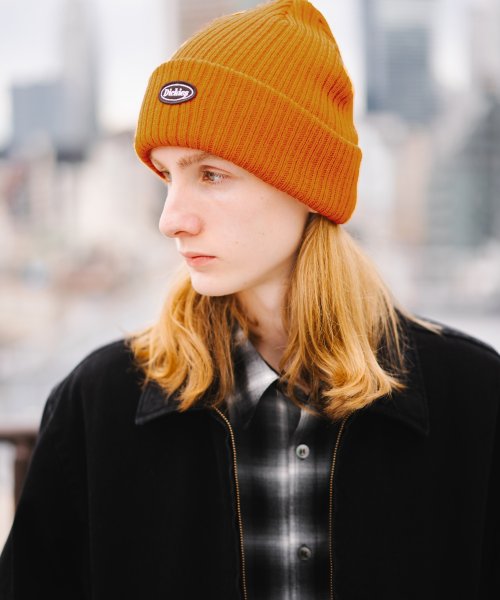 Dickies(Dickies)/Dickies CALIF LOGO WAPPEN KNIT CAP/img10