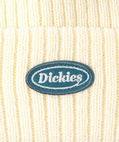 Dickies(Dickies)/Dickies CALIF LOGO WAPPEN KNIT CAP/img20