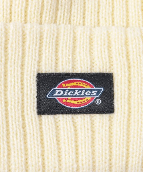 Dickies(Dickies)/Dickies CALIF LOGO WAPPEN KNIT CAP/img21