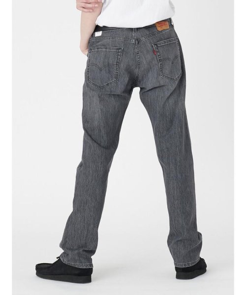 Levi's(リーバイス)/PERFORMANCE COOL 505（TM） レギュラーフィット グレー WORN IN/img02