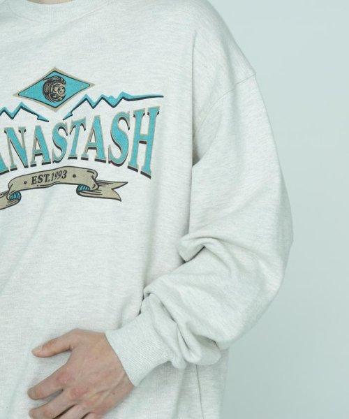 MANASTASH(マナスタッシュ)/MANASTASH/マナスタッシュ/CASCADE SWEATSHIRTS EST. 1993/img10