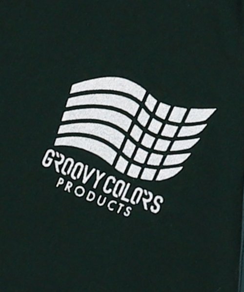 GROOVY COLORS(グルービーカラーズ)/GRVY 切り替えラグラン Tシャツ/img05