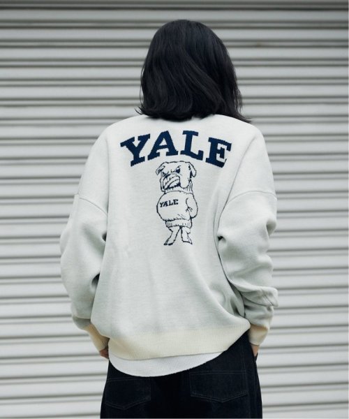 JOURNAL STANDARD(ジャーナルスタンダード)/【YALE for JOURNAL STANDARD】別注 クルーネックニット/img06