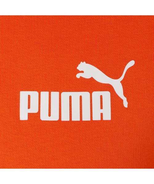 PUMA(PUMA)/メンズ PUMA POWER キャット フーディー/img16