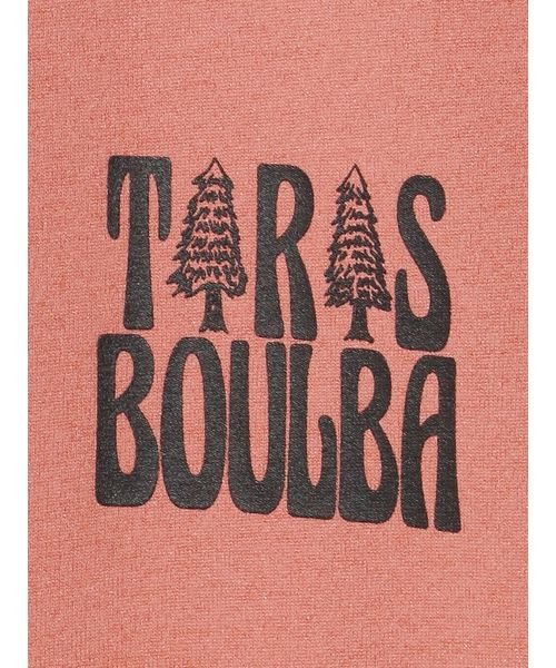 TARAS BOULBA(タラスブルバ)/ジュニア PE天竺プリントTシャツ（ロゴ背景）/img05