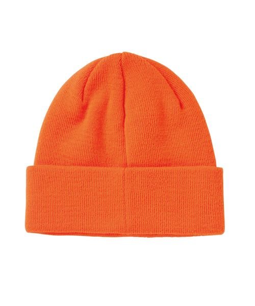 ROXY(ROXY)/PEANUTS BEANIE/img02