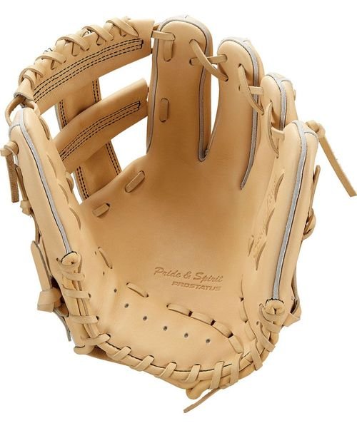 プロステイタスSE 硬式用グラブ 