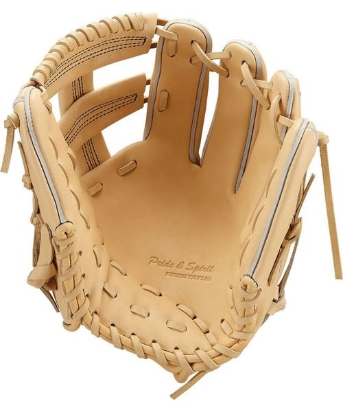 プロステイタスSE 硬式用グラブ 