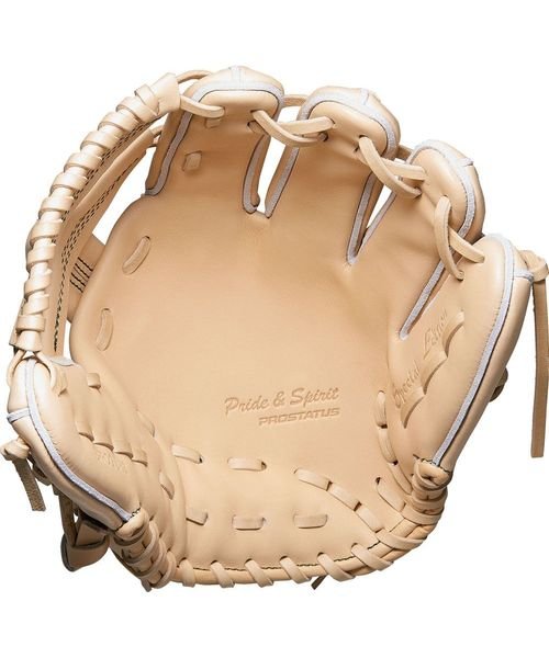 プロステイタスSE 硬式用グラブ 