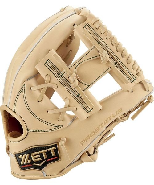 プロステイタスSE 硬式用グラブ 