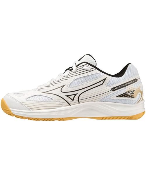 MIZUNO(ミズノ)/CYCLONE SPEED 4 JR./img01