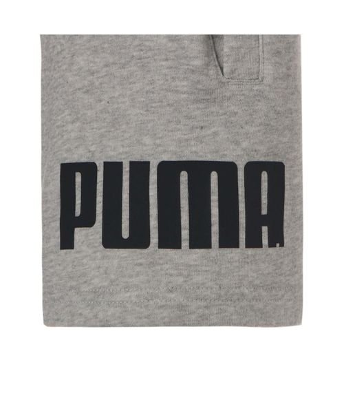 PUMA(PUMA)/PUMA POWER ショーツ/img06