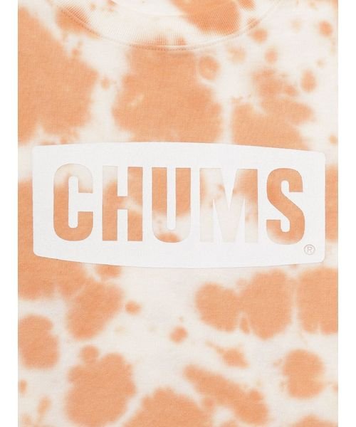 CHUMS(チャムス)/CHUMS LOGO T－SHIRT (チャムス ロゴ Tシャツ)/img02