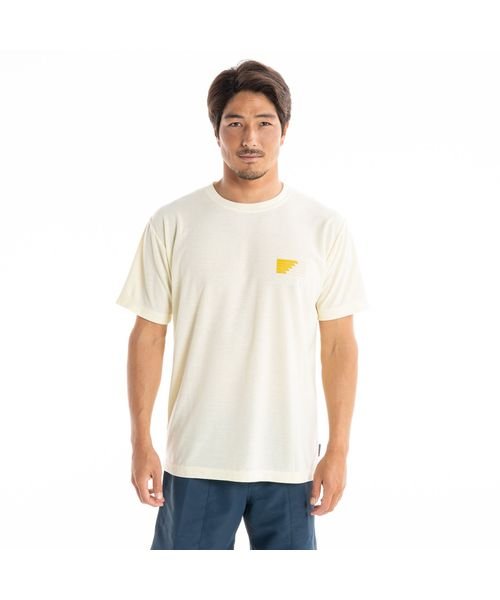 QUIKSILVER(クイックシルバー)/PB WAVES SS/img02