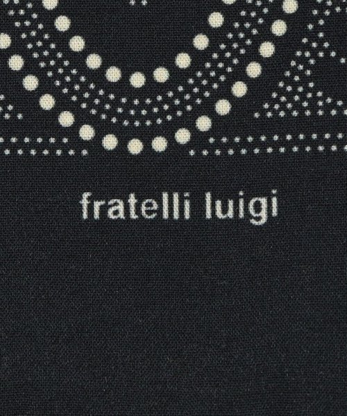 TOMORROWLAND GOODS(TOMORROWLAND GOODS)/Fratelli Luigi レーヨン フリンジスカーフ/img02