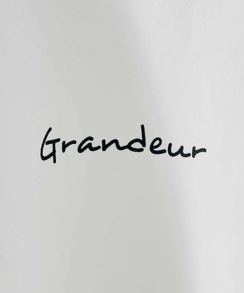 ABAHOUSE(ABAHOUSE)/【Grandeur】シルキーダンボール ロゴ 長袖 Tシャツ/img20