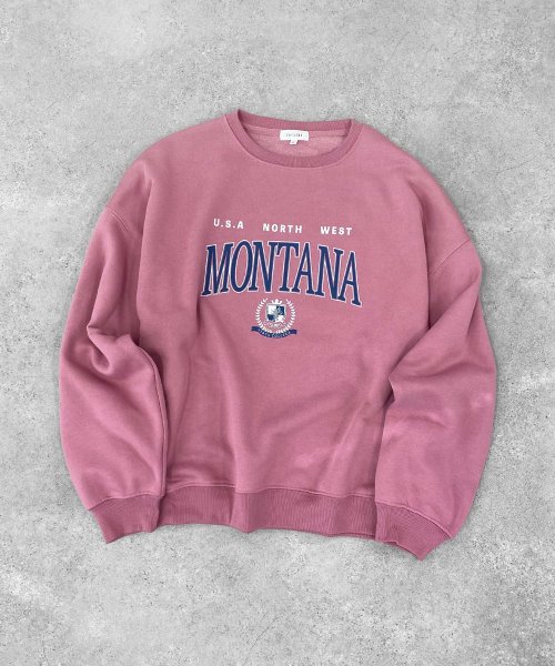 ヴィンテージカレッジスウェット 人気・おすすめ｜安定人気・収納便利におすすめ 丁寧対応 配送追跡可 人気ランキング上位