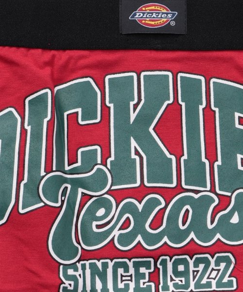 Dickies(Dickies)/Dickies BIG college logo ボクサーパンツ/img03