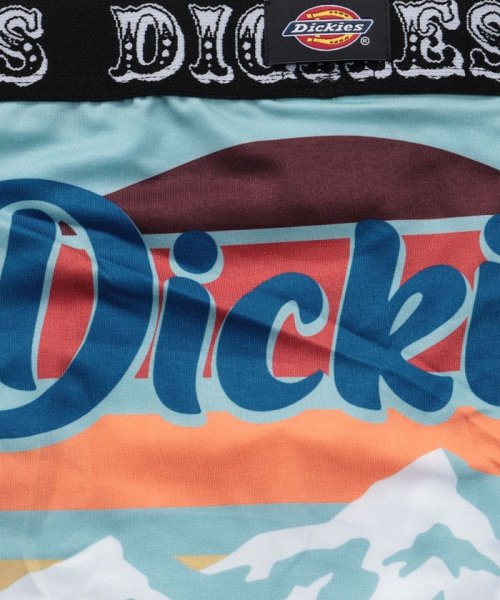 Dickies(Dickies)/Dickies Mountain ボクサーパンツ 父の日 プレゼント ギフト/img03
