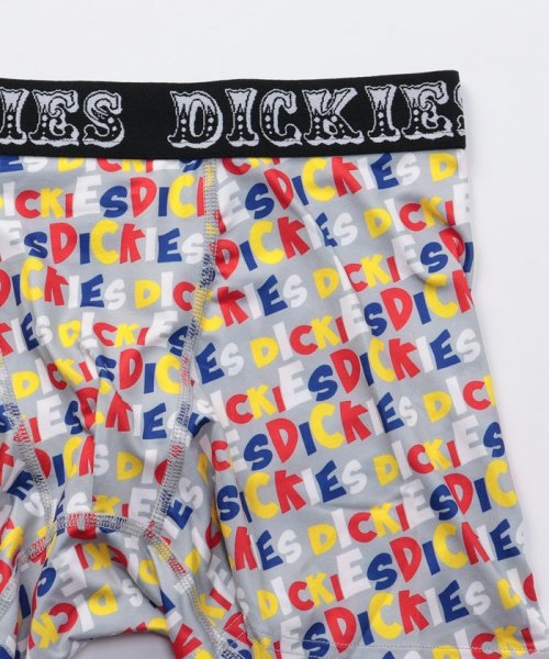 Dickies(Dickies)/【Dickies / ディッキーズ】Paved logo ボクサーパンツ/img02