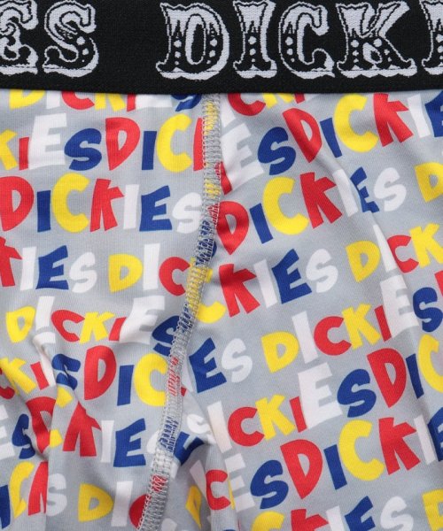 Dickies(Dickies)/【Dickies / ディッキーズ】Paved logo ボクサーパンツ/img03