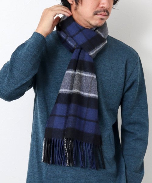 NOLLEY’S goodman(ノーリーズグッドマン)/【Johnstons of Elgin/ジョンストンズ・オブ・エルガン】WA57 CASHMERE SCARF 35/img07