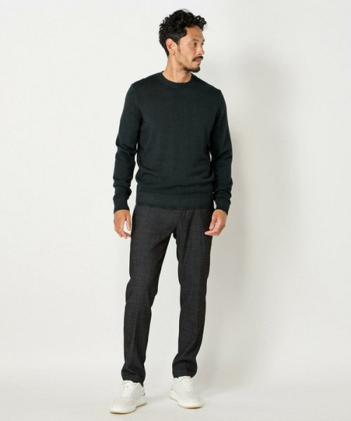 Men's Bigi(メンズビギ)/【FILIPPO DE LAURENTIIS】10Gクルーネックニット/img03