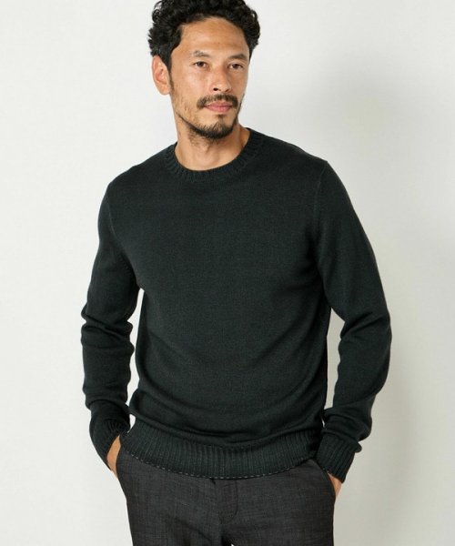 Men's Bigi(メンズビギ)/【FILIPPO DE LAURENTIIS】10Gクルーネックニット/img06