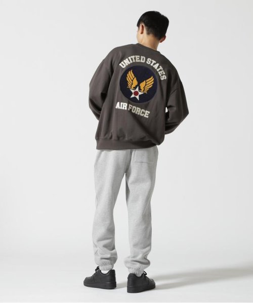 AVIREX(AVIREX)/《WEB&DEPOT限定》SAGARA AIRFORCE CREWNECK SWEAT / サガラ エアフォース クルーネック スウェット/img22