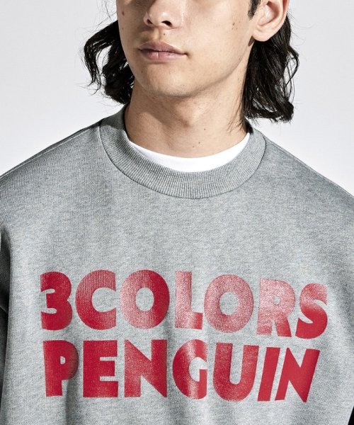 Munsingwear(マンシングウェア)/【Web限定】【ENVOY｜3Colors Penguin Logo】裏毛ジャージクルーネックスエットシャツ【アウトレット】/img13