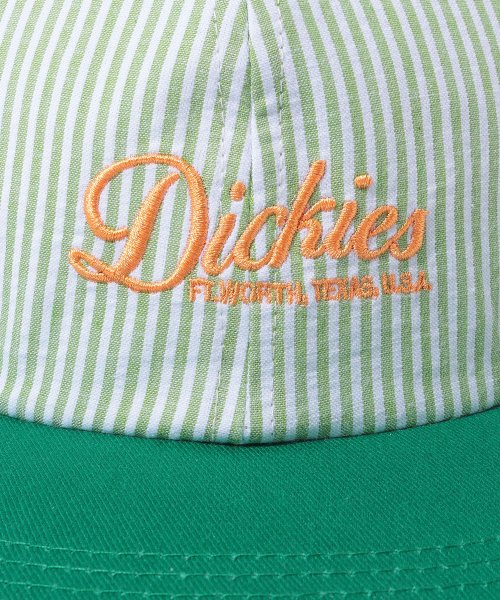 Dickies(Dickies)/Dickies STRIPE BB CAP/img08