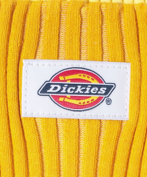 Dickies(Dickies)/Dickies Gradation COTTON KNIT WACH/img07