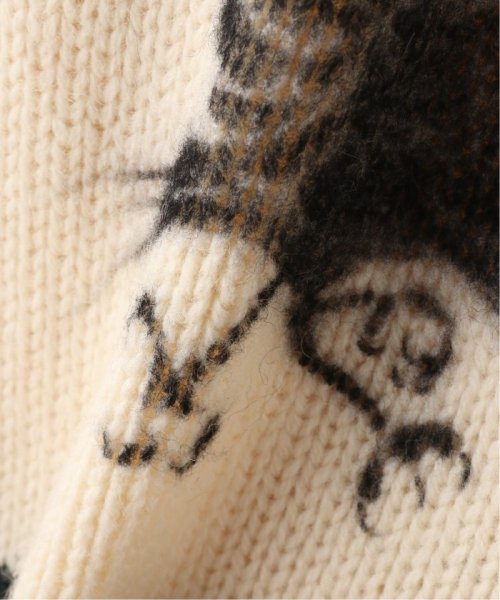 PULP(パルプ)/【FAF (FAKE AS FLOWERS) / フェイク アス フラワーズ】AIR BRUSHED KNIT COWICHAN/img12