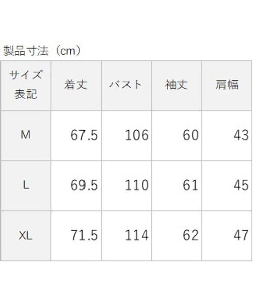 sanideiz TOKYO(サニデイズ トウキョウ)/ドライジャージ レギュラー長袖Tシャツ MENS/img03