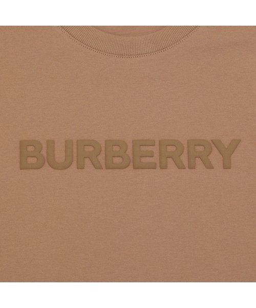 BURBERRY(バーバリー)/バーバリー Tシャツ カットソー 半袖カットソー トップス ベージュ メンズ BURBERRY 8055310 A1420/img06