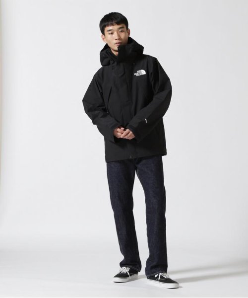 BEAVER(ビーバー)/THE NORTH FACE/ザ・ノースフェイス　Mountain Jacket/img01