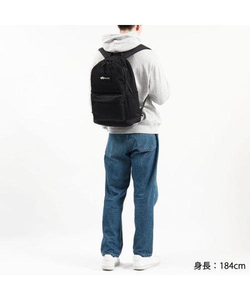 ALPHA INDUSTRIES(アルファインダストリーズ)/アルファインダストリーズ リュック ALPHA INDUSTRIES HEAVY TWILL DAY PACK デイパック 20L リュックサック TZ1091/img02