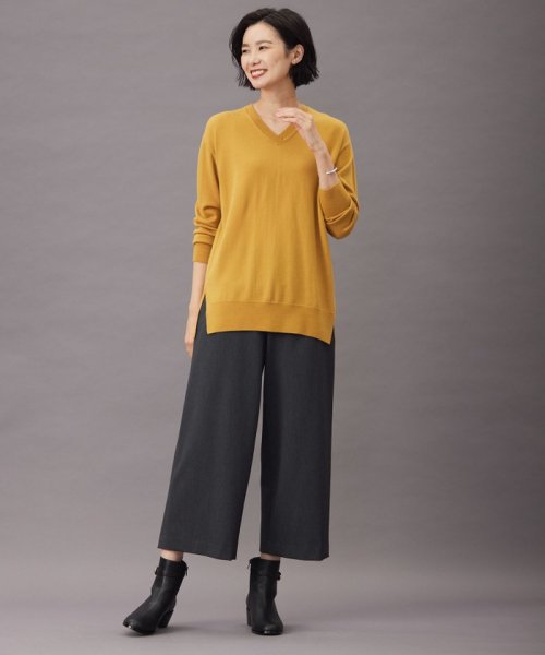 J.PRESS LADIES（LARGE SIZE）(J．プレス　レディス（大きいサイズ）)/【洗える】EASY WOOL Vネック ニット/img06