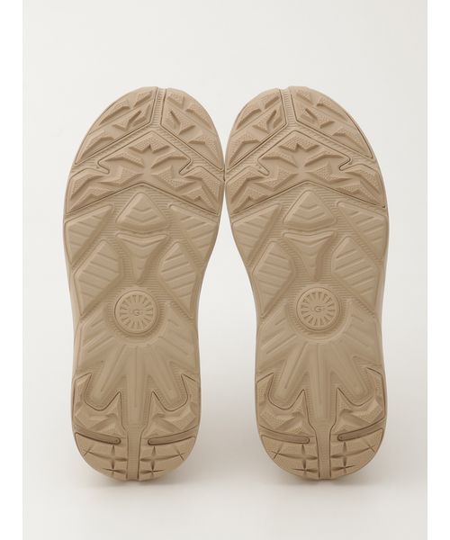 UGG M CA805 V2 NUBUCK 25cm 未使用 UGG Australia スニーカー CA805 V2 NUBUCK / アグ シーエーハチ
