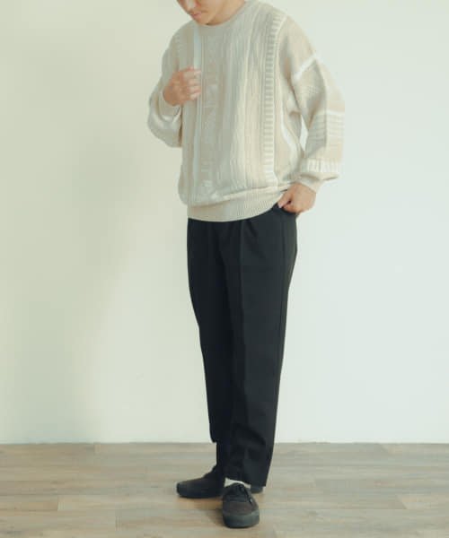 ITEMS URBANRESEARCH(アイテムズアーバンリサーチ（メンズ）)/吸湿発熱 TRストレッチ起毛パンツ/img09